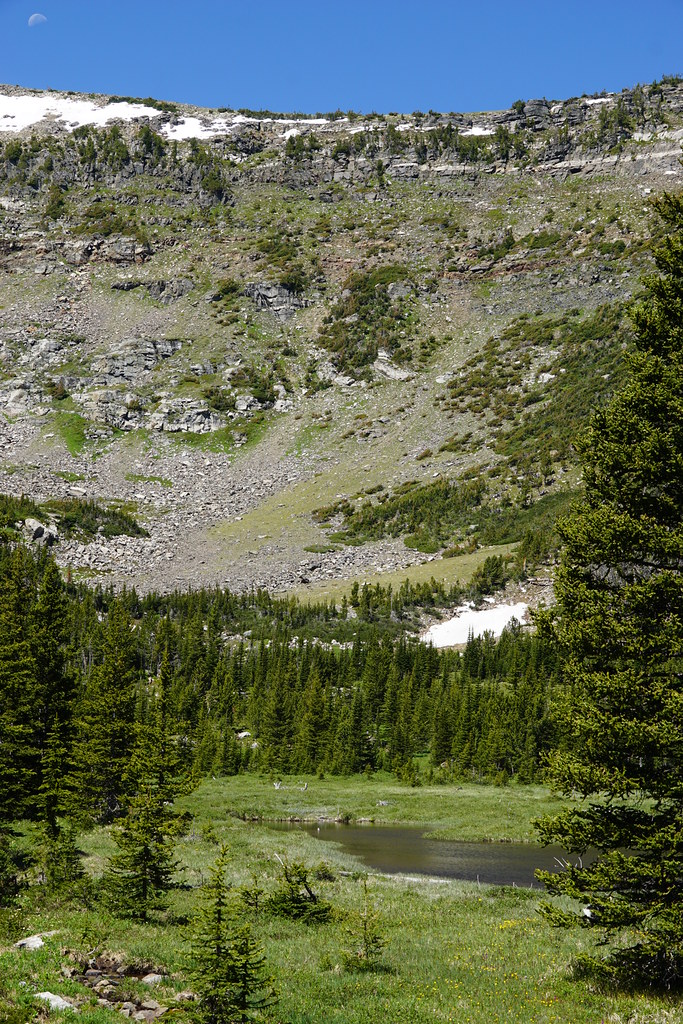 55380773338_2f1422c350_b.jpg