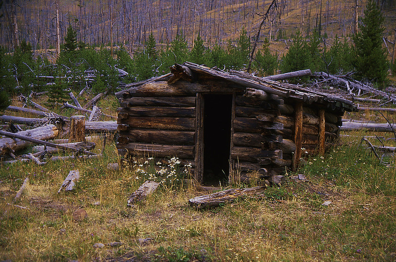 p349338881-4.jpg