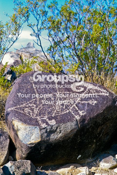 SheepOnBoulder.jpg