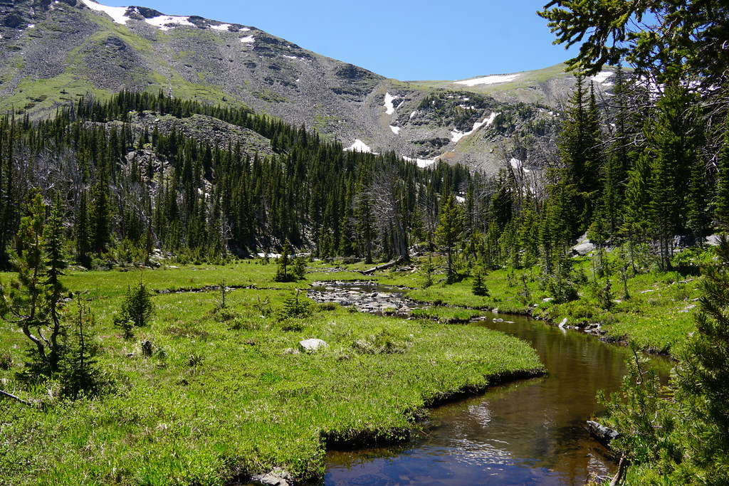 55379702597_cf2411908d_b.jpg