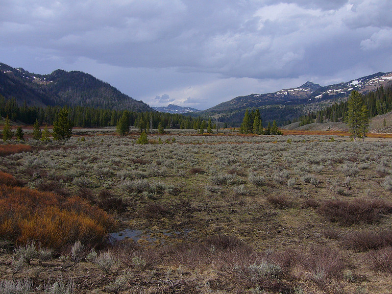 p541087864-4.jpg