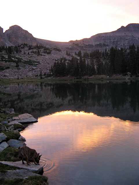 5415226100_0164d0f133_z.jpg