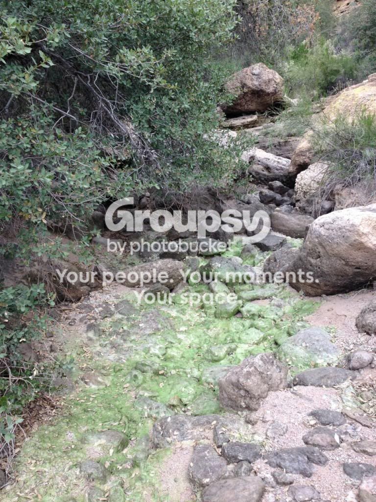 IMG_2899.jpg