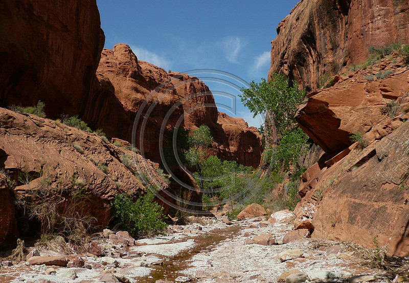 p1058990467-4.jpg