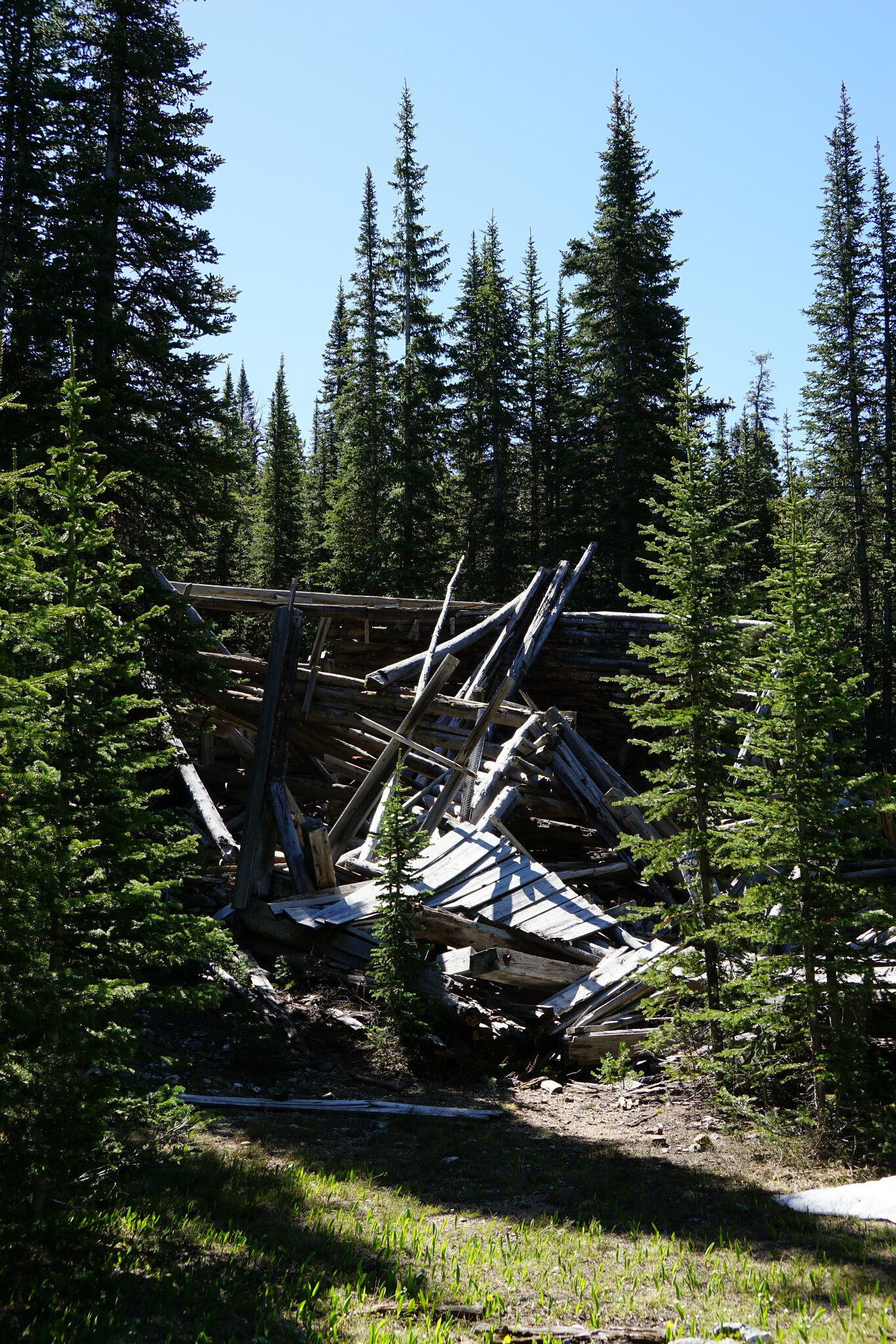28925260748_27fa6d0b36_k.jpg