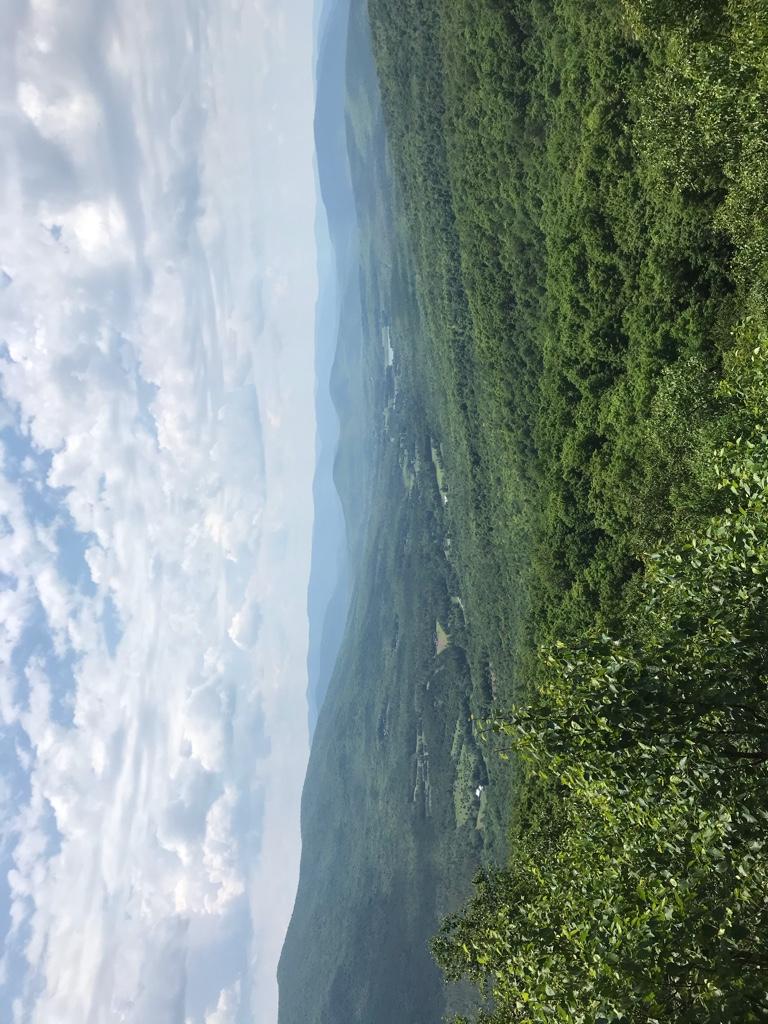 a1bf5b019c4319e2397a64e6a5795965.jpg
