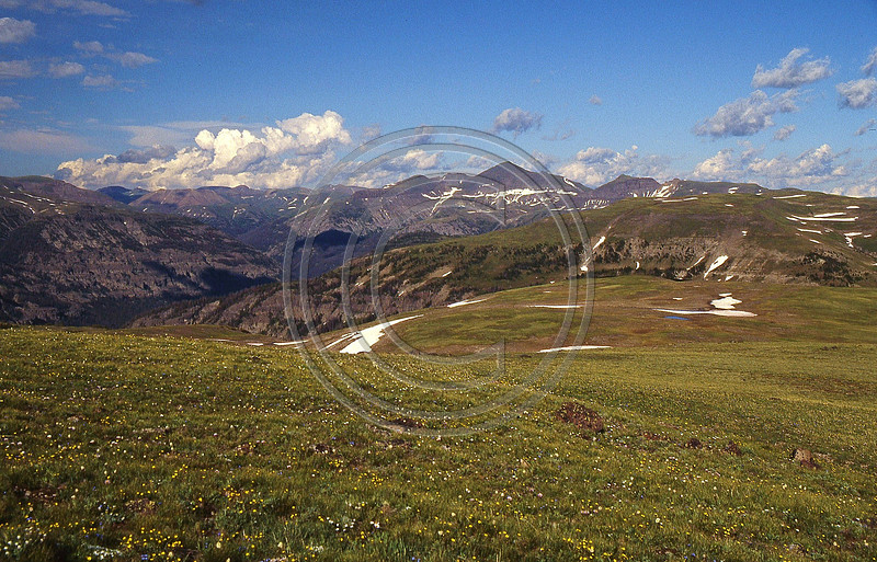 p122862429-4.jpg