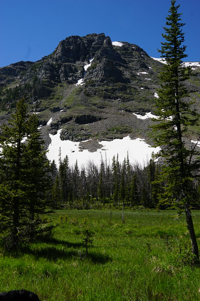 55380825984_e9290ab464_b.jpg