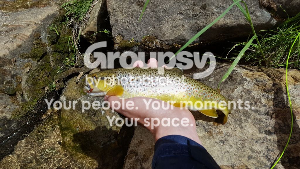 20160518_152626.jpg