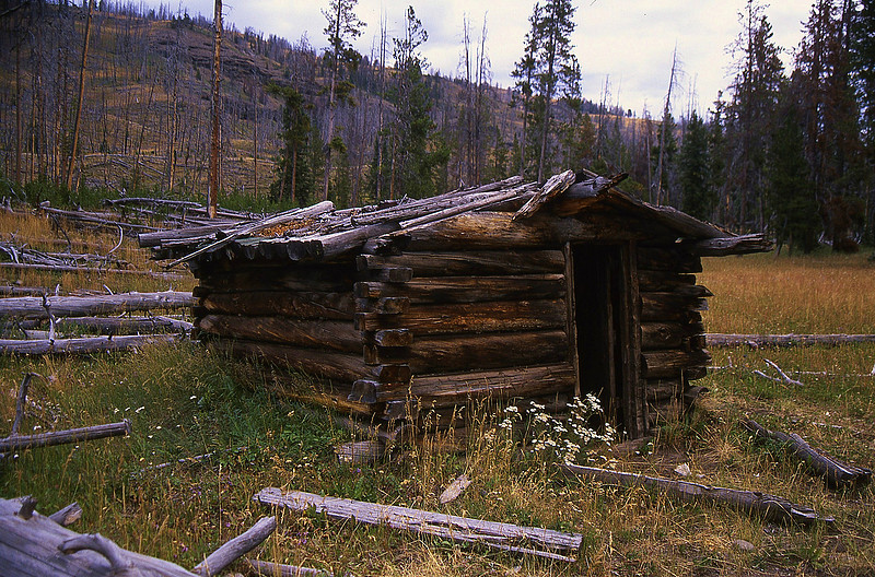 p452026065-4.jpg