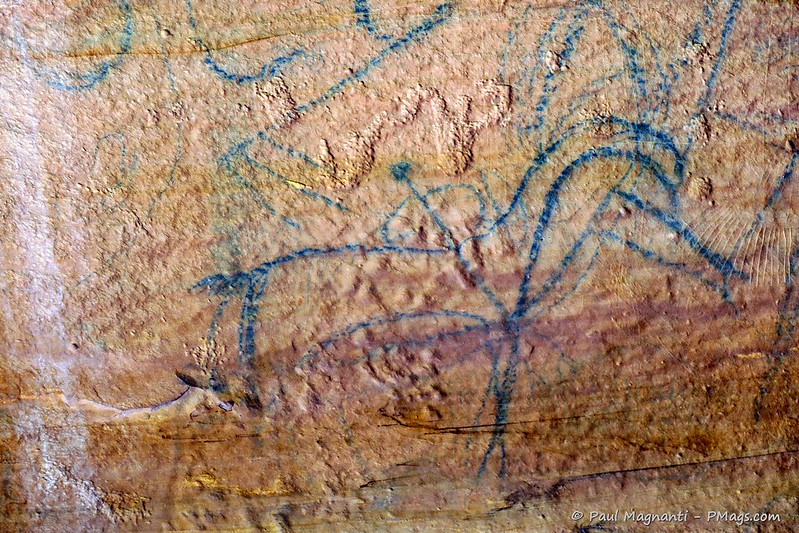 lores-113 lores-113